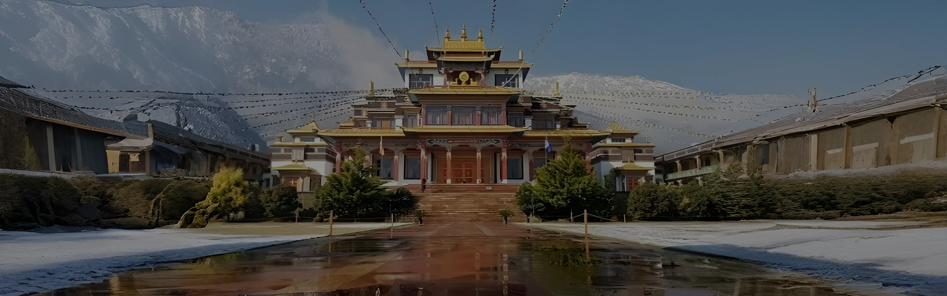 background-image