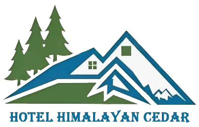 partner-logo